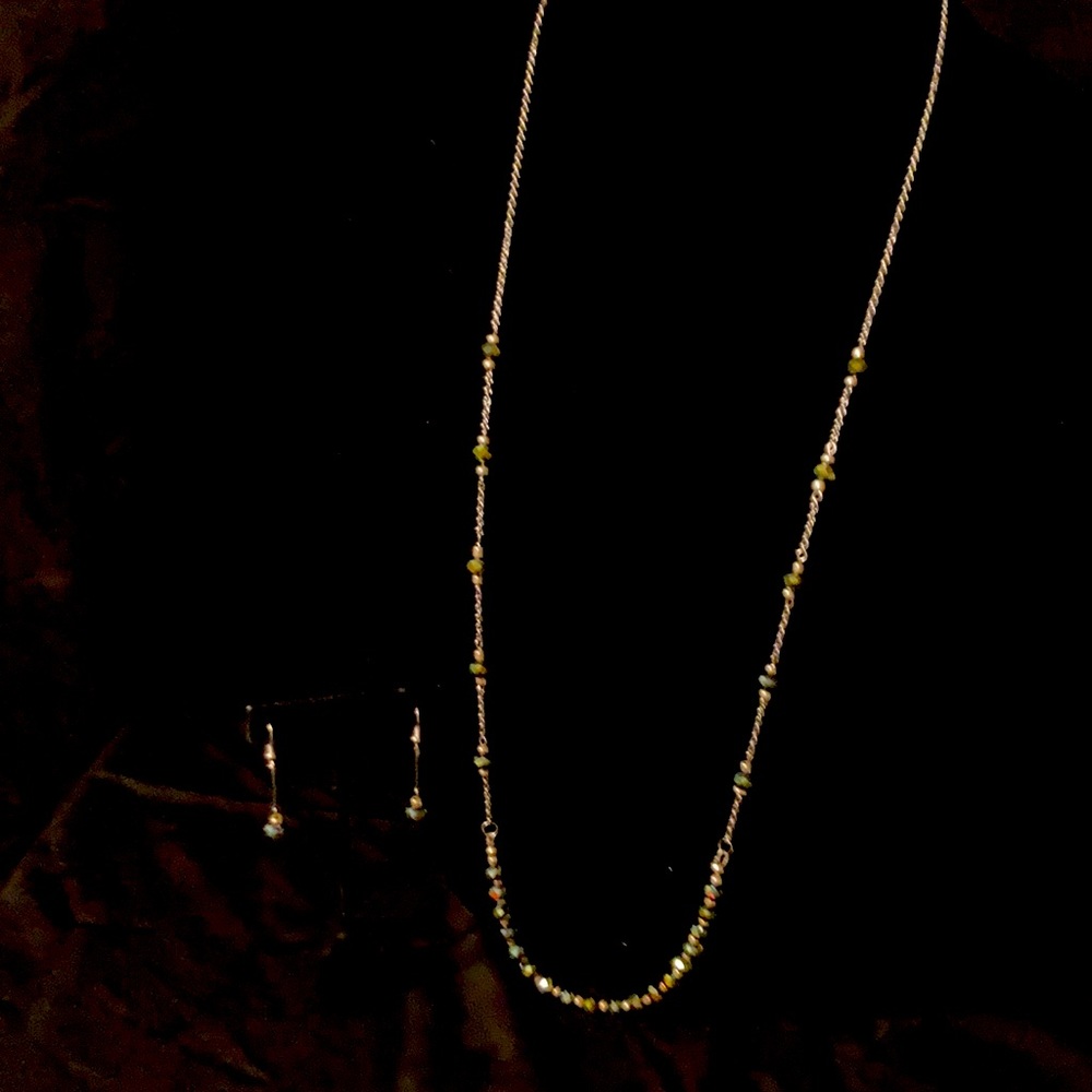 Silver Tone Long Necklace & Earring Set